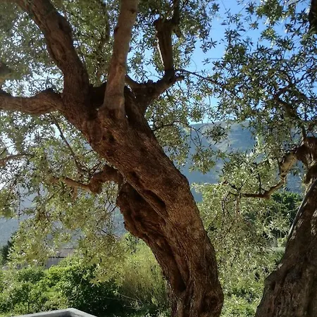 Lopa Hébergement de vacances Maratea